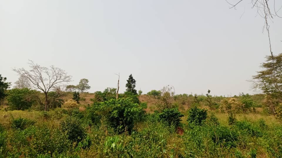 Farmland